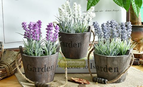 chau-lavender-go-co-quai