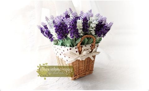 gio-may-hoa-lavender