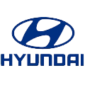 Khách hàng Hyundai Trần Hưng Đạo