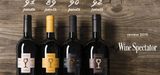 Rượu vang ý nhập khẩu Primitivo - Shopruou.net