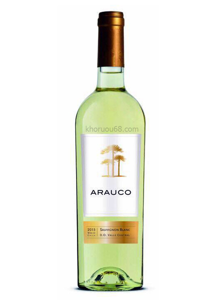 ARAUCO - Sauvignon Blanc